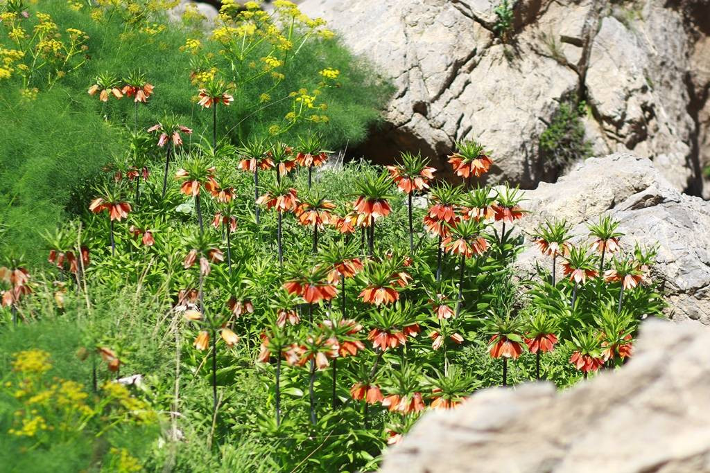 Halk arasında 'ağlayan gelin' olarak biliniyor. Görmek isteyenler kilometrelerce yol katediyor - Resim: 19